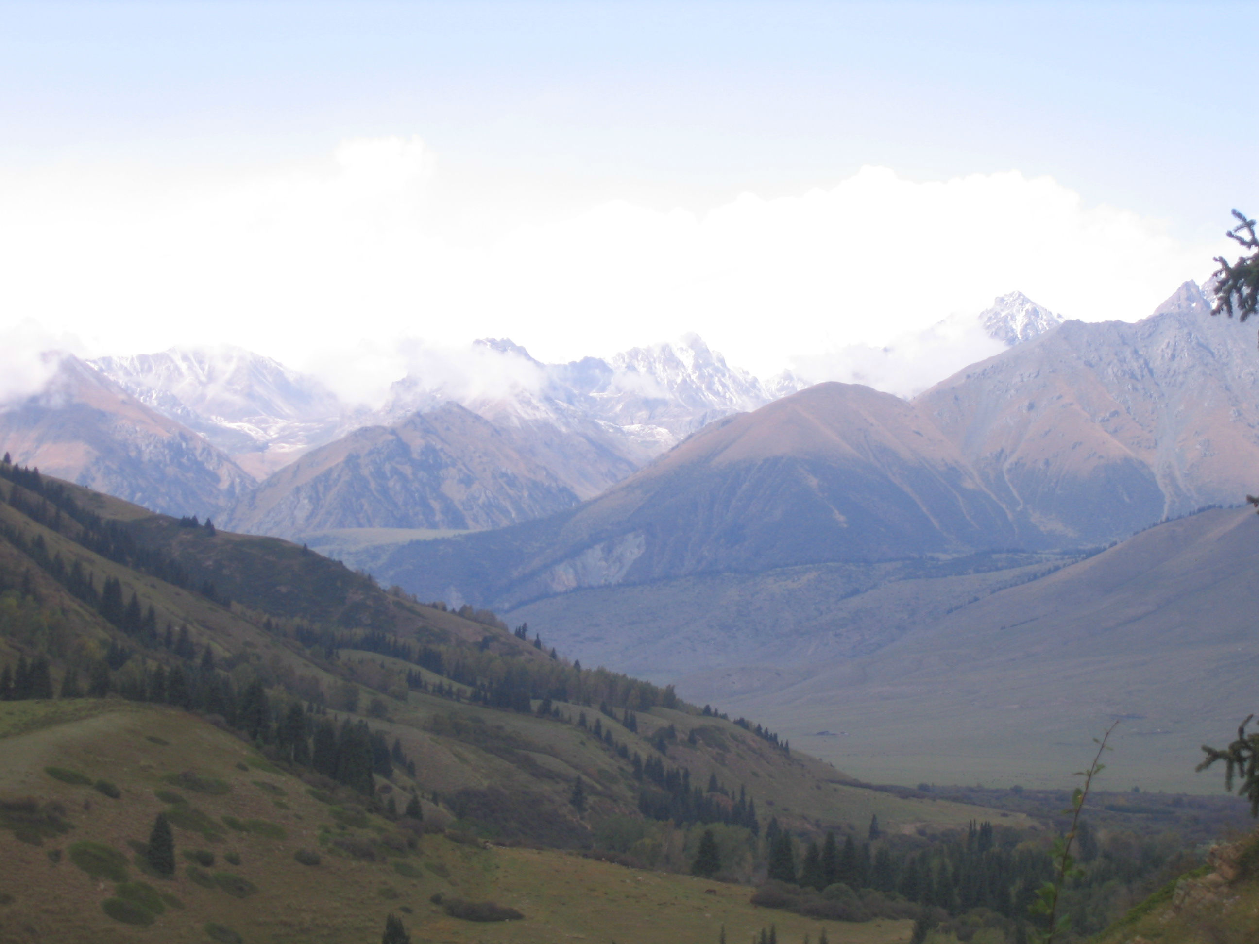 Москва и Бишкек в поисках оптимальной модели сотрудничества